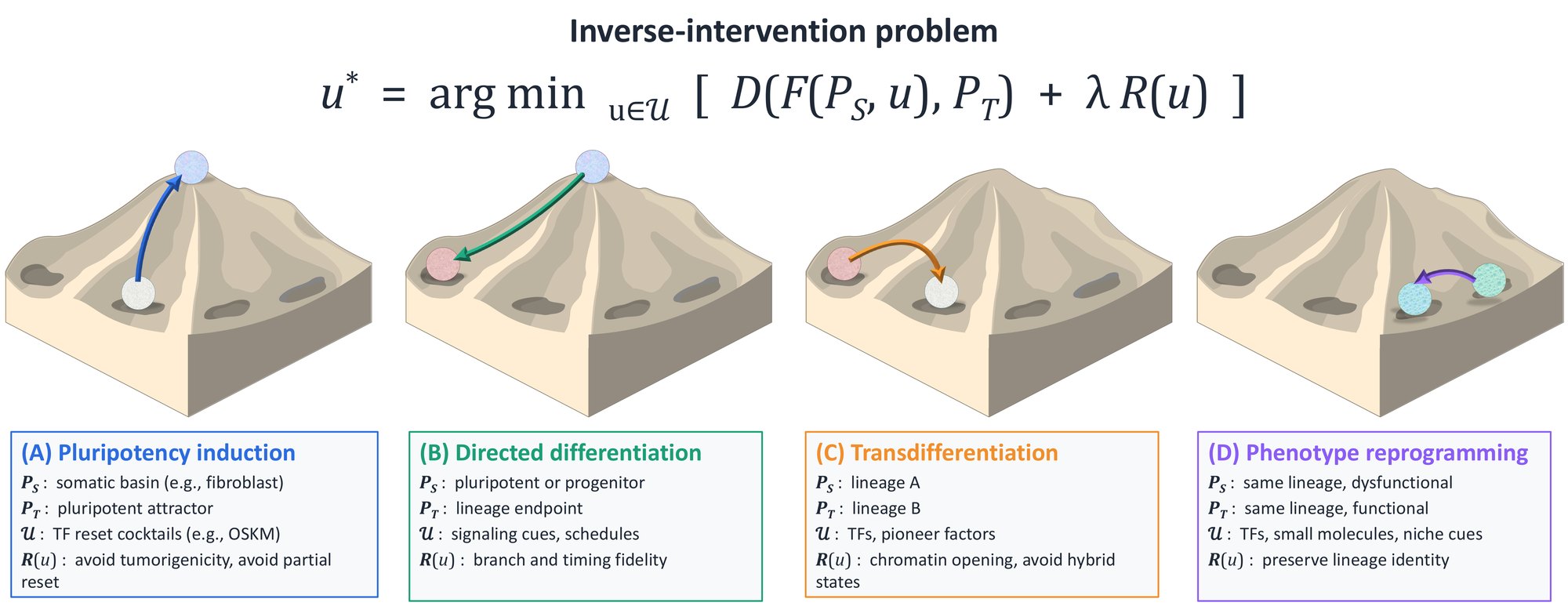 Four Waddington landscapes for pluripotency induction, directed differentiation, transdifferentiation, and phenotype reprogramming, under the shared inverse-design equation.